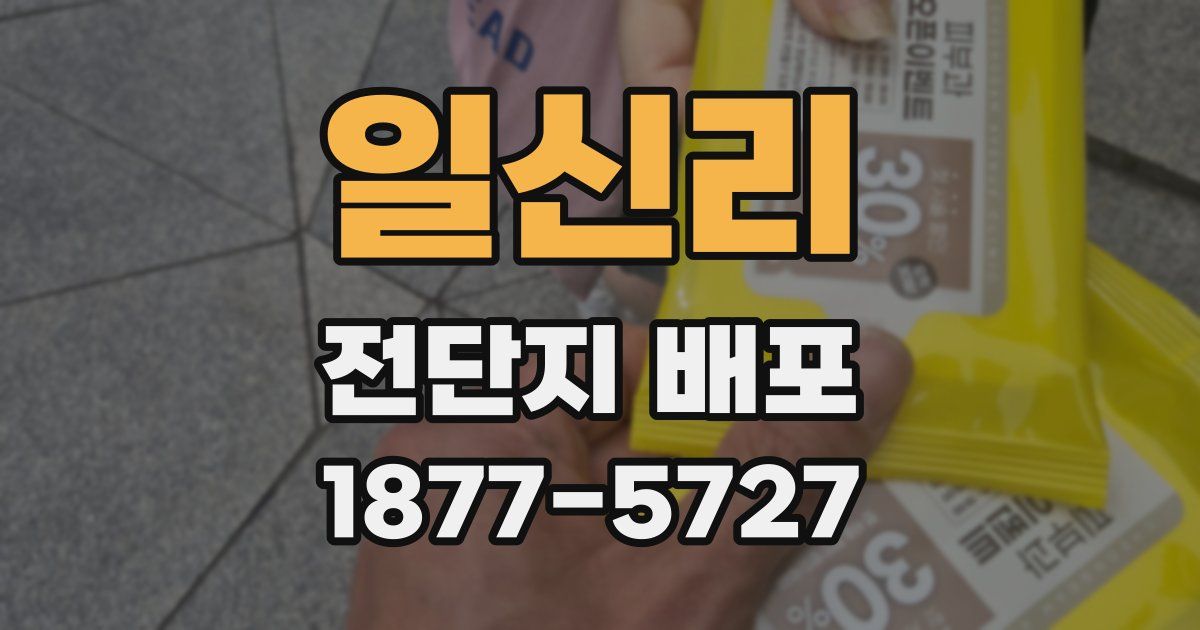 일신리 전단지 배포
