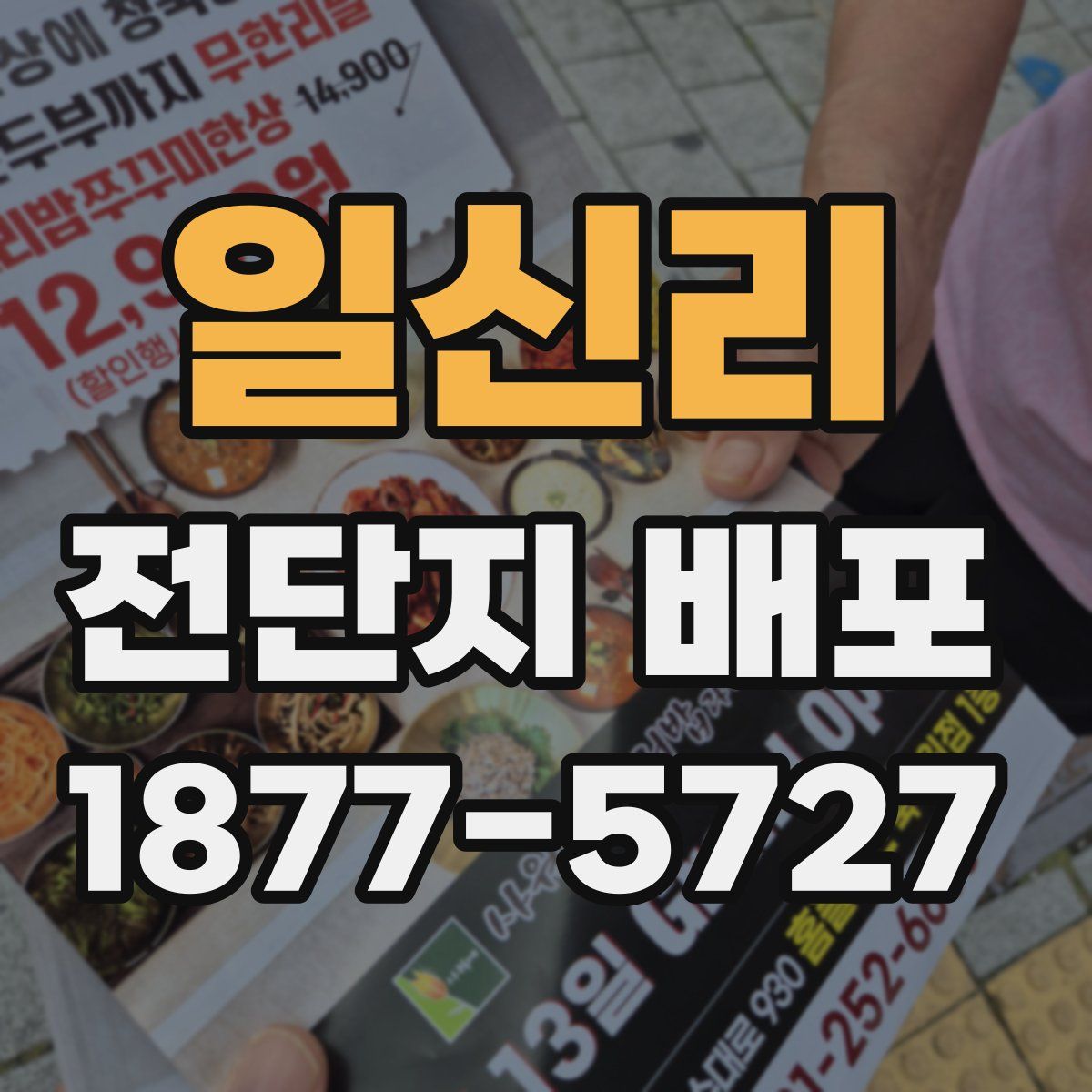 일신리 전단지 배포