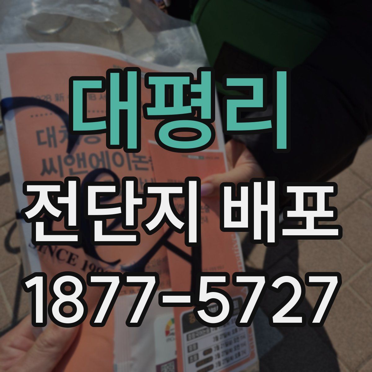 대평리 전단지 배포