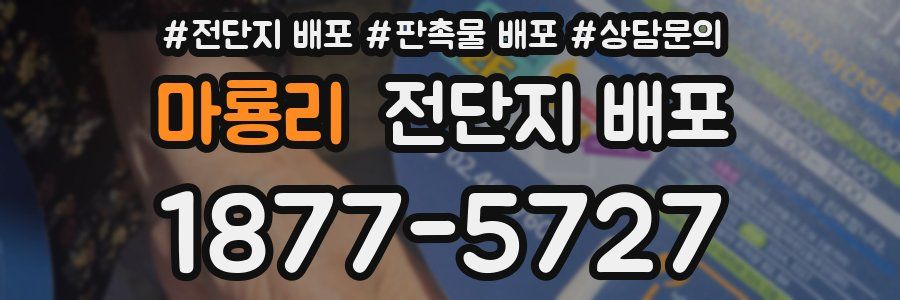 마룡리 전단지 배포