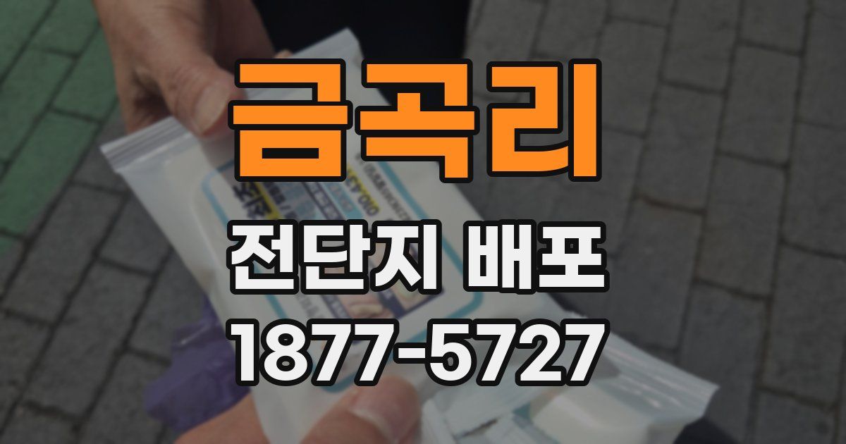 금곡리 전단지 배포