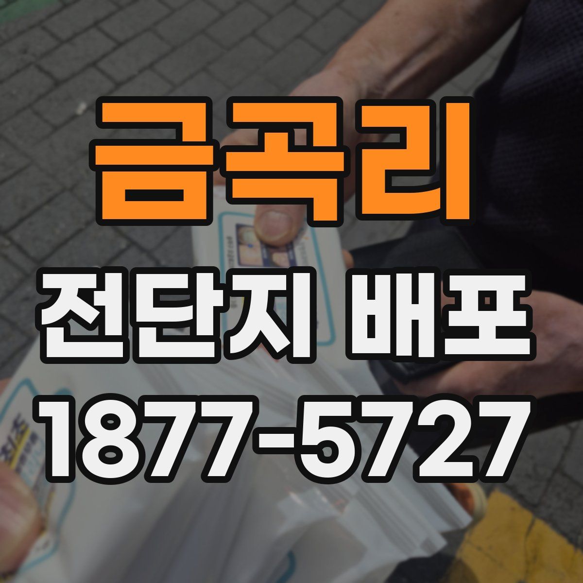 금곡리 전단지 배포