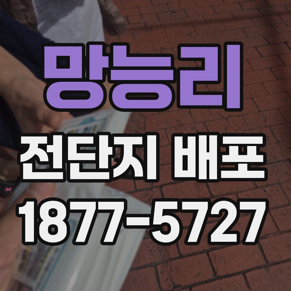 망능리 전단지 배포