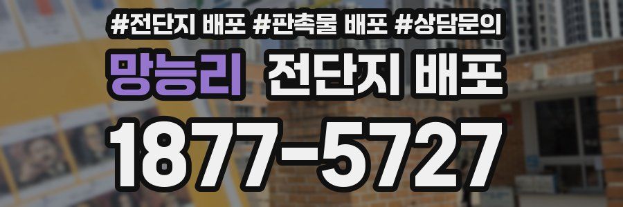 망능리 전단지 배포