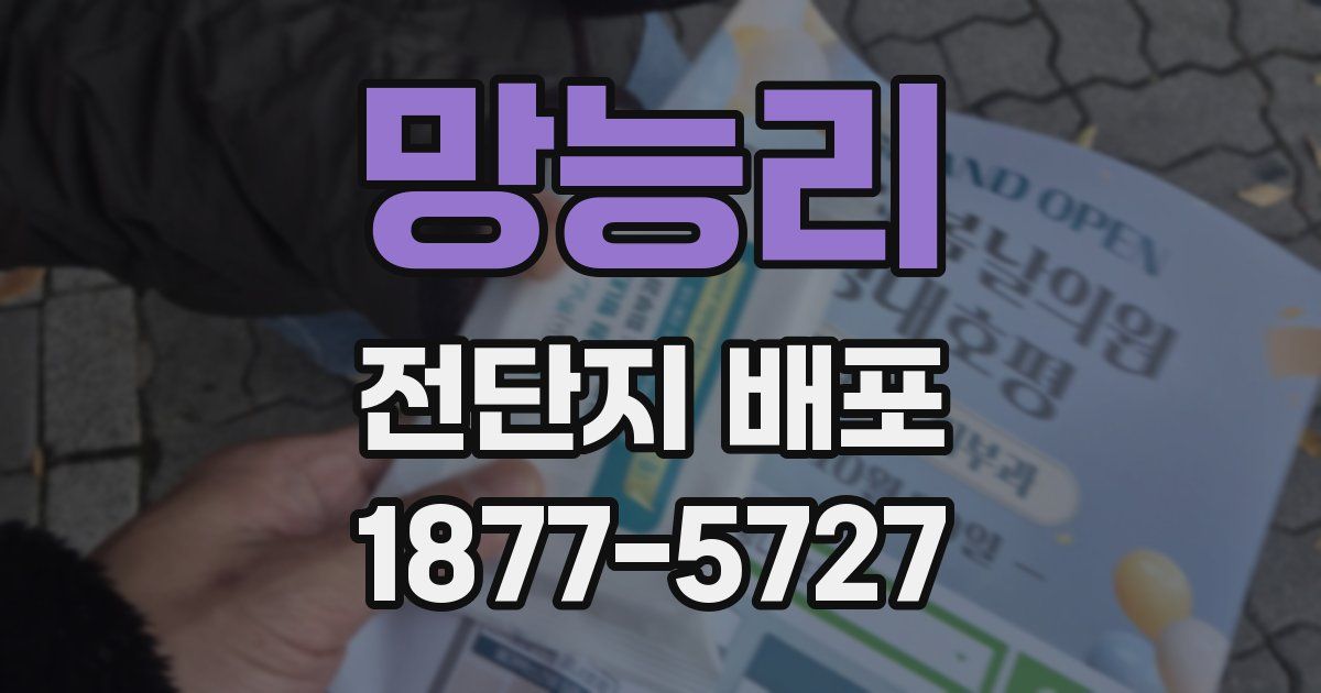 망능리 전단지 배포