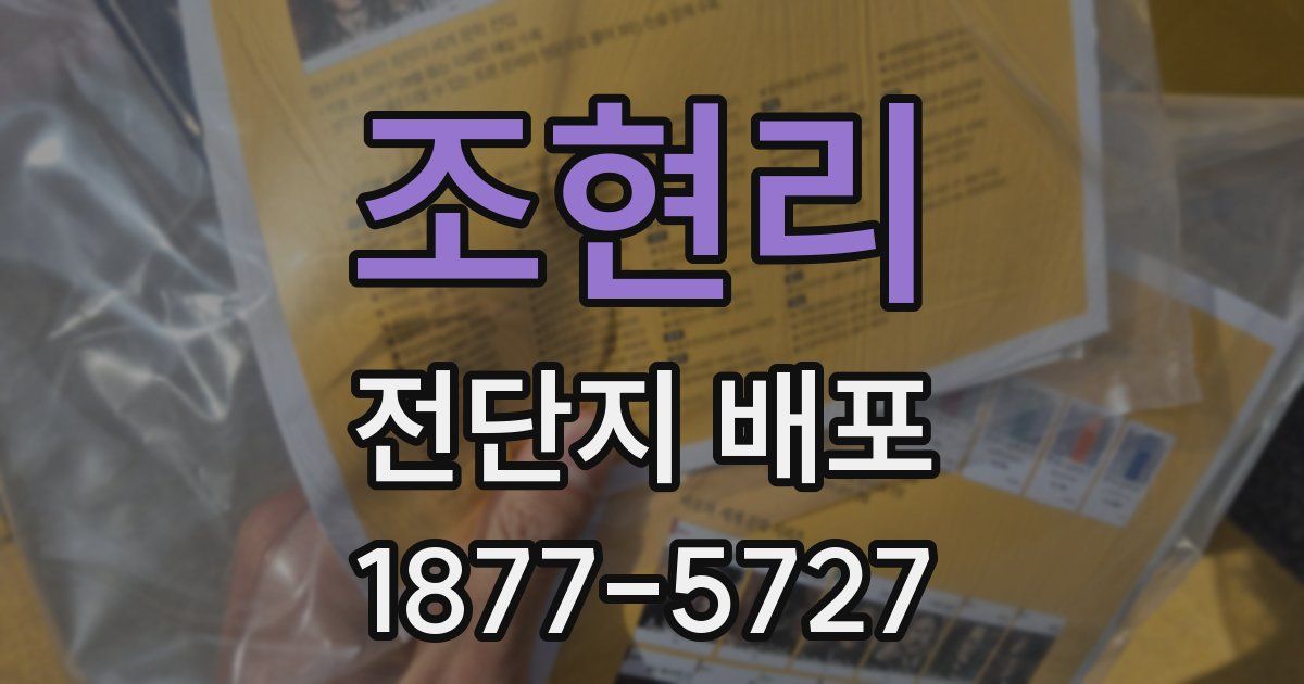 조현리 전단지 배포