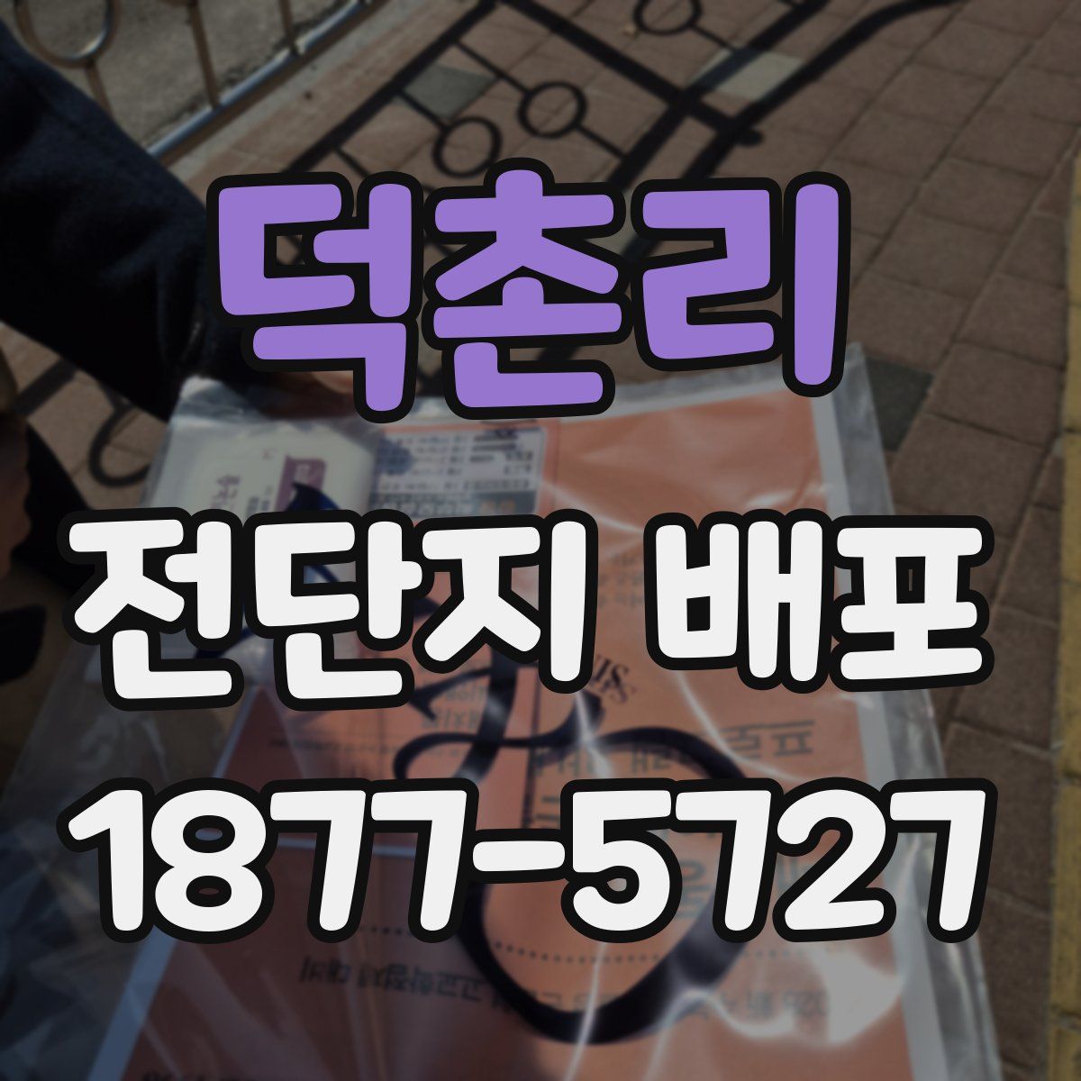 덕촌리 전단지 배포