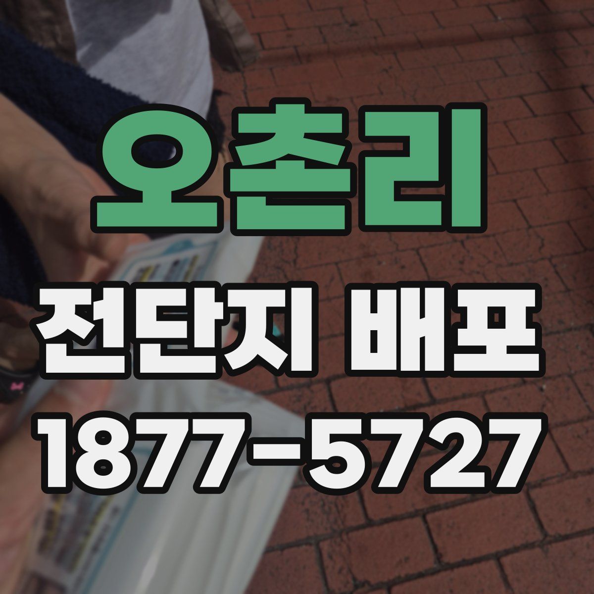 오촌리 전단지 배포