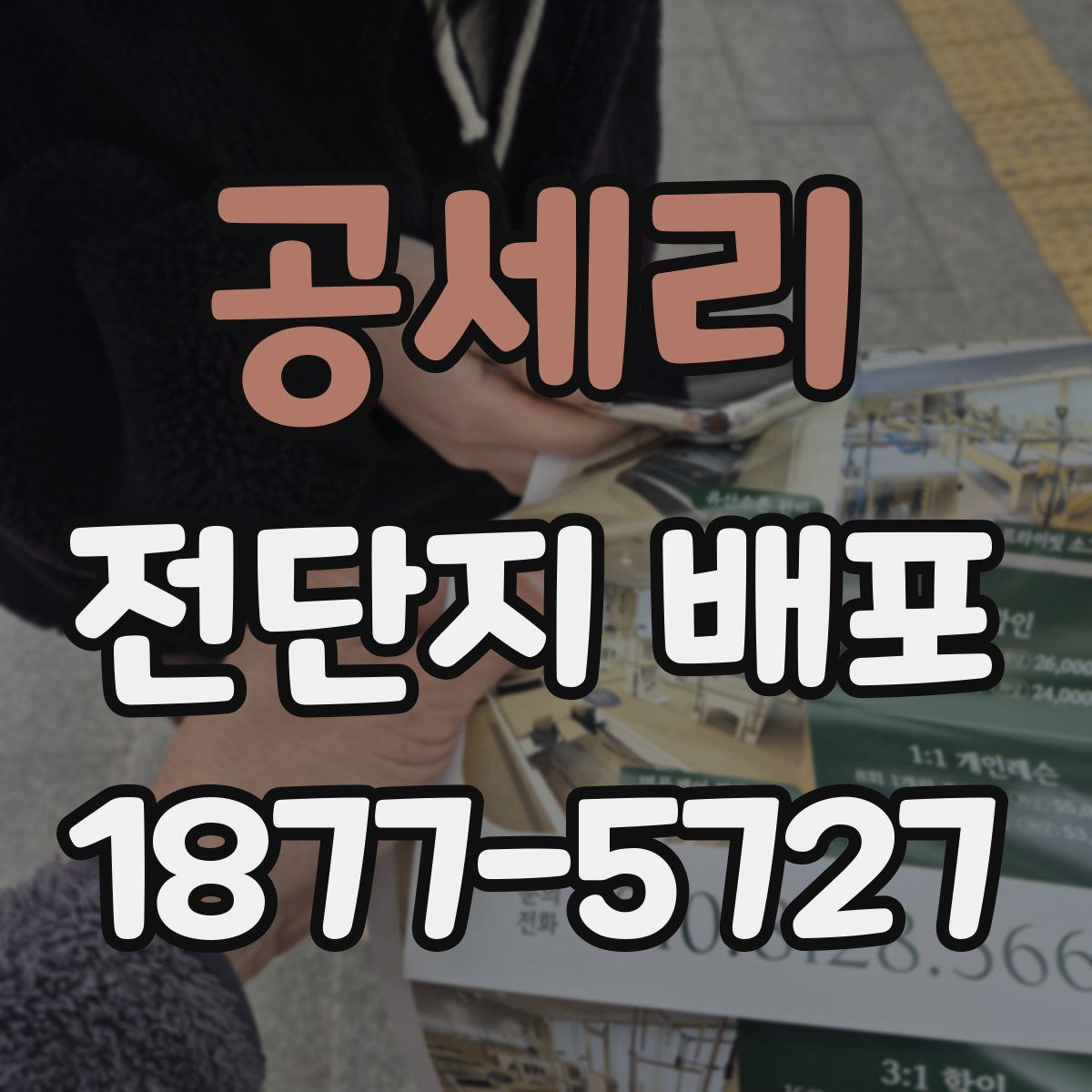 공세리 전단지 배포