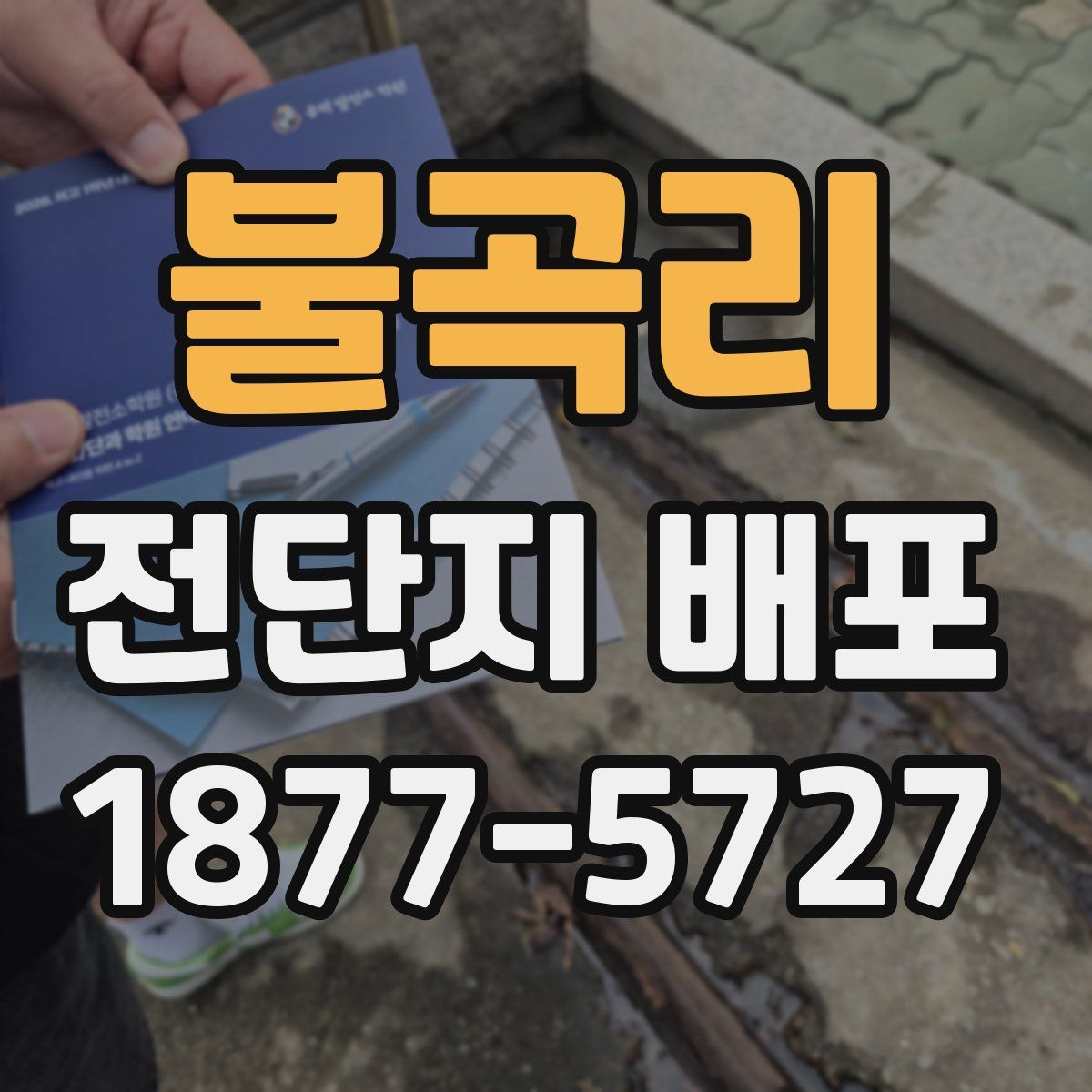 불곡리 전단지 배포