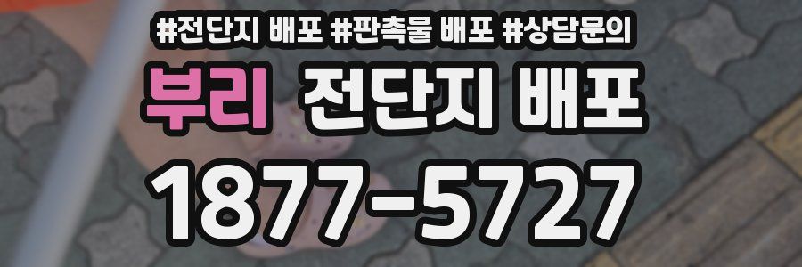 부리 전단지 배포
