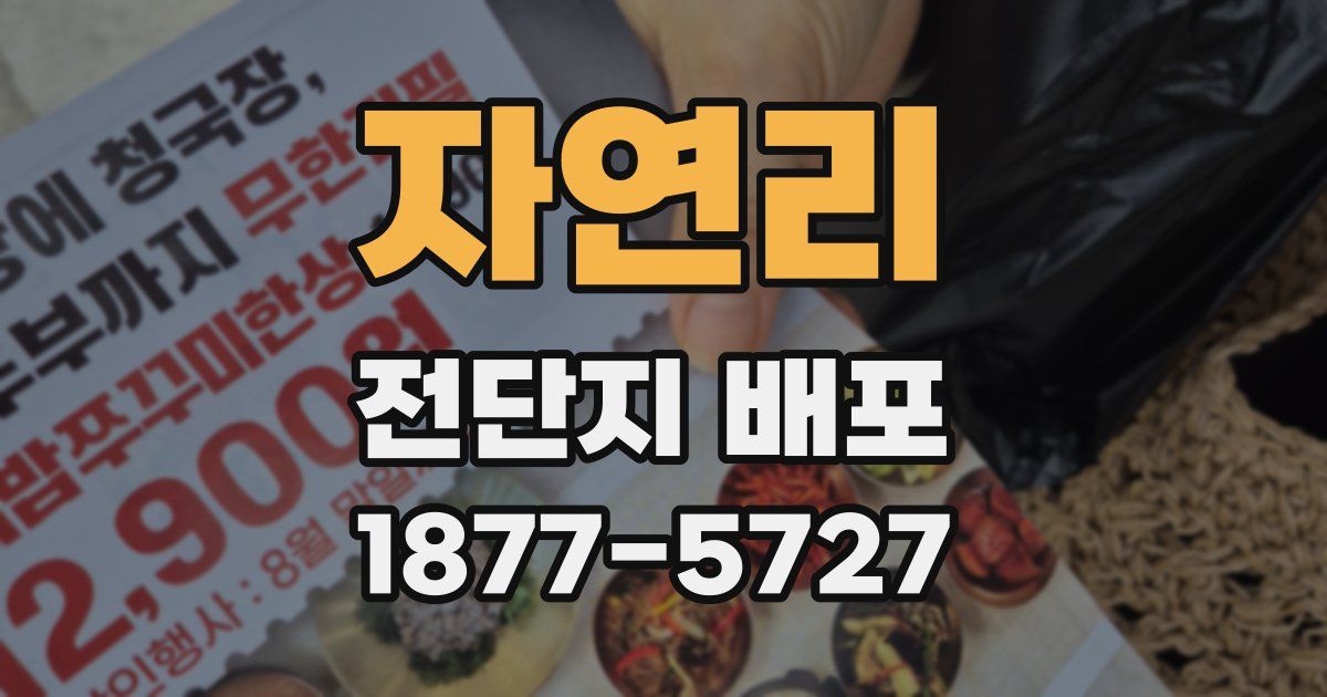 자연리 전단지 배포