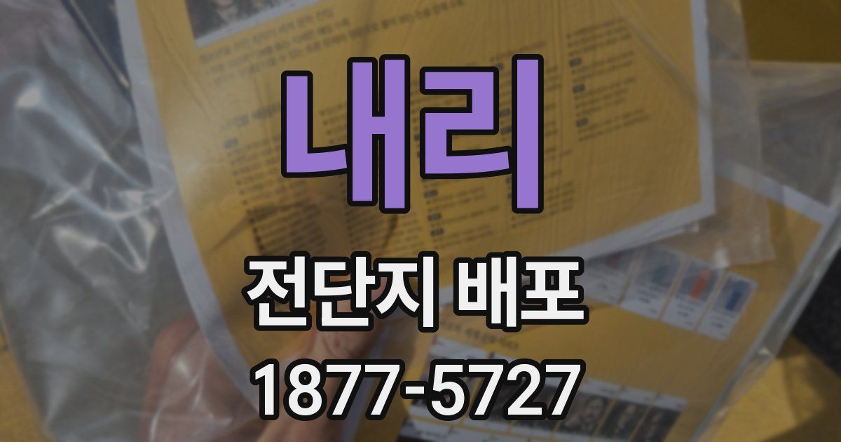 내리 전단지 배포