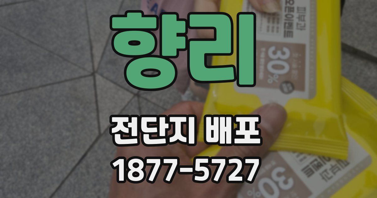 향리 전단지 배포