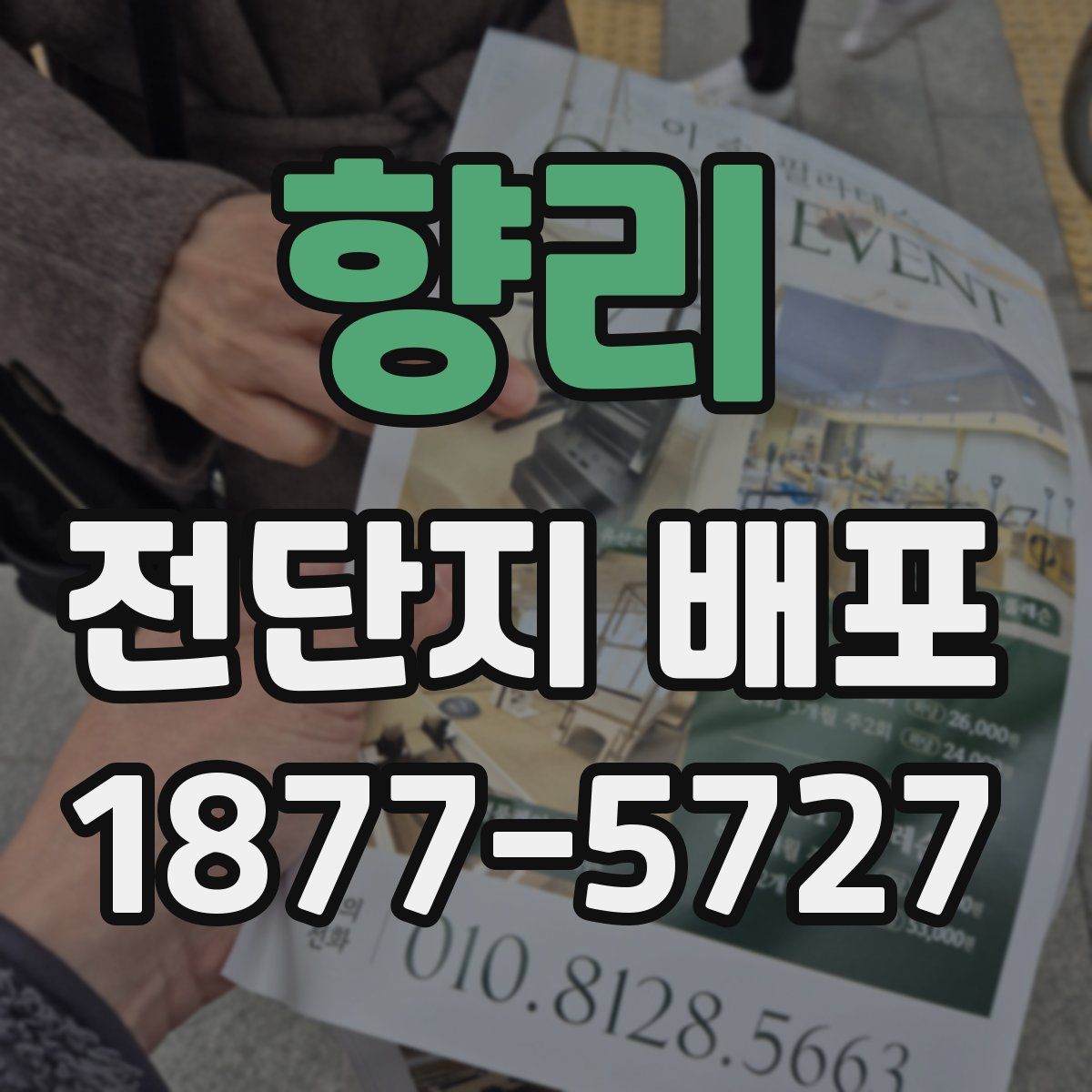 향리 전단지 배포