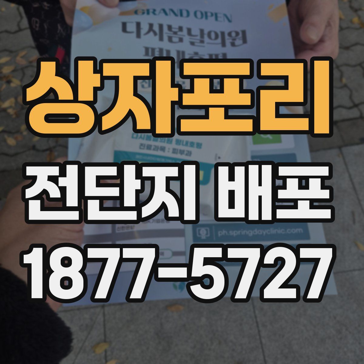상자포리 전단지 배포