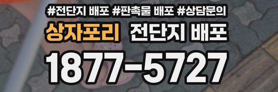 상자포리 전단지 배포