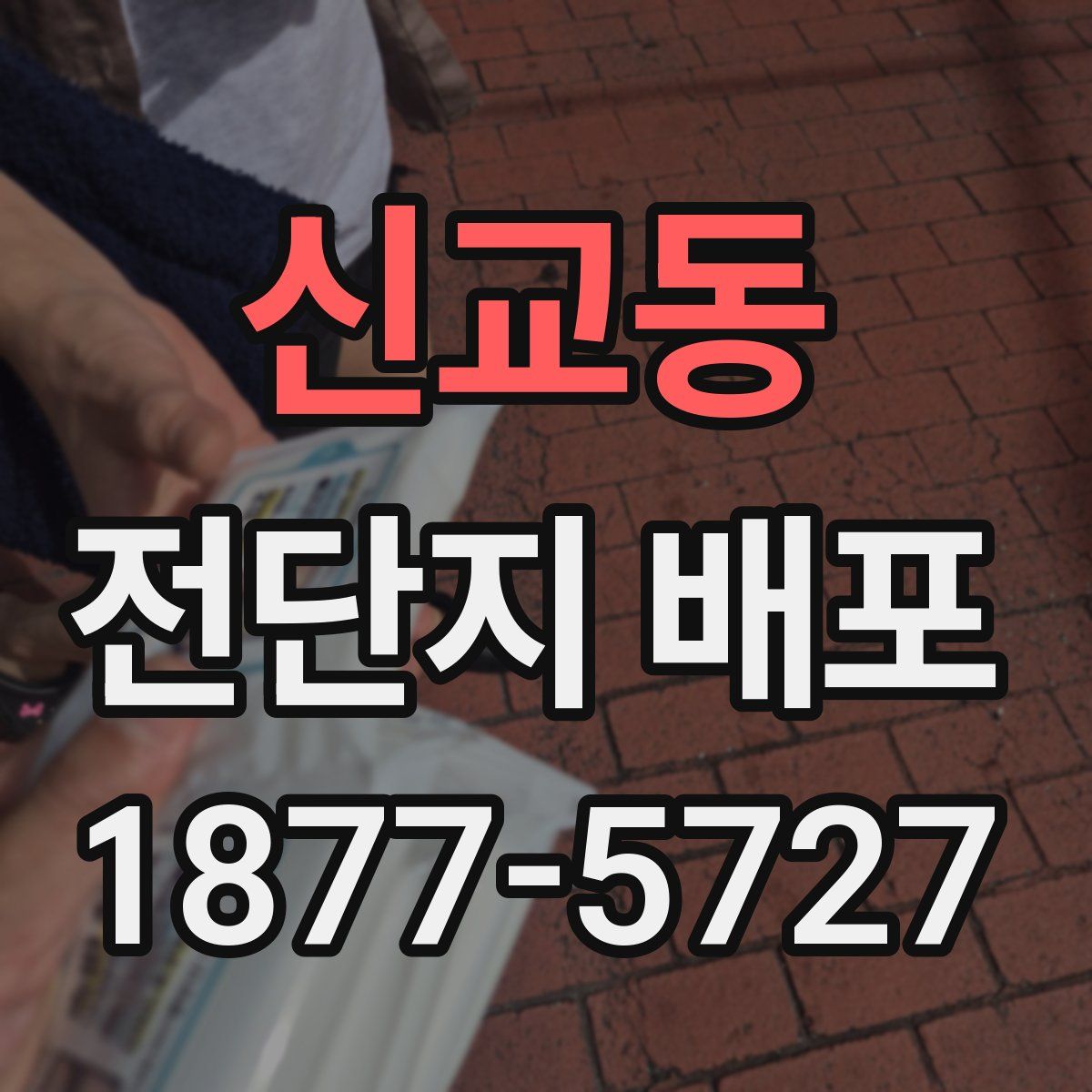 신교동 전단지 배포