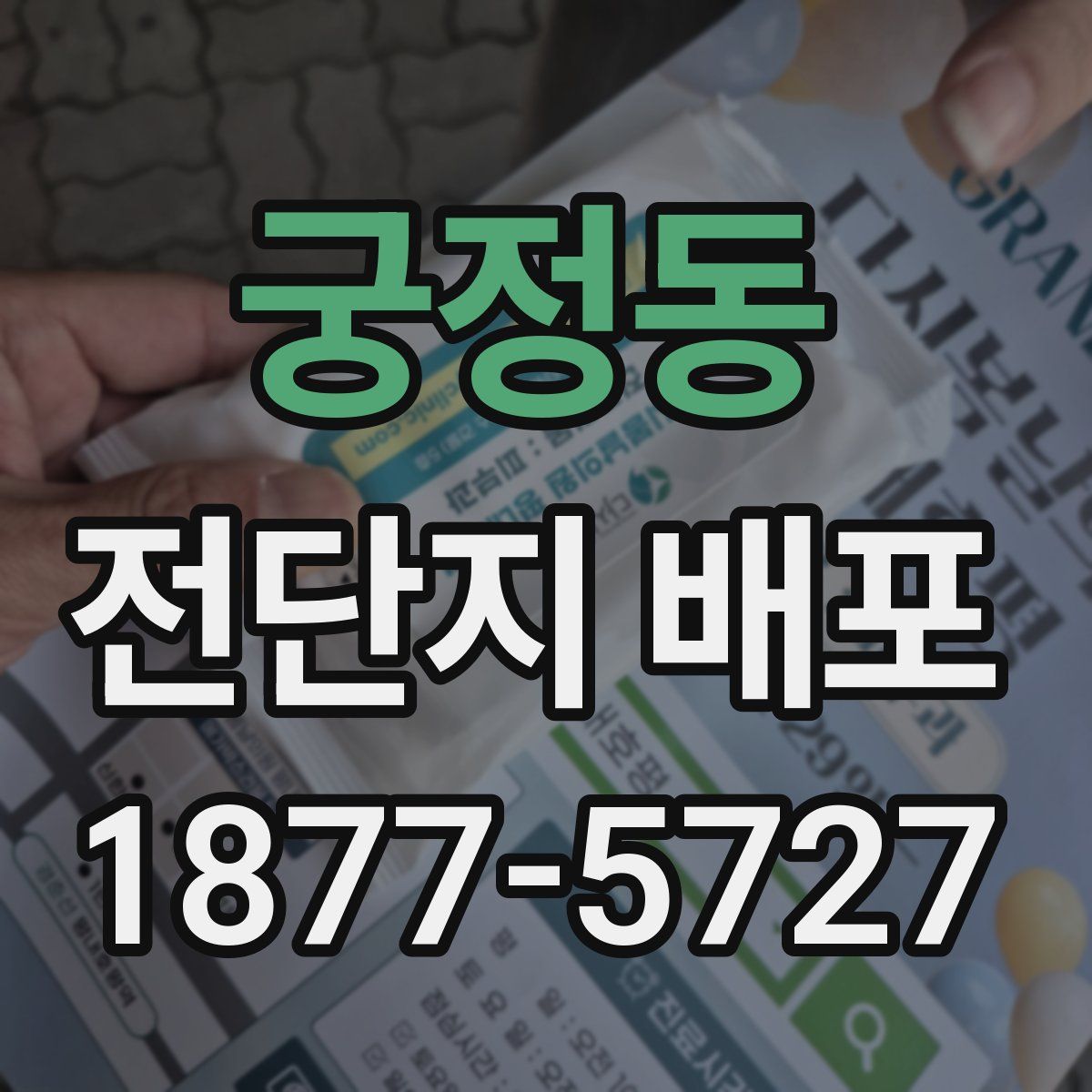 궁정동 전단지 배포