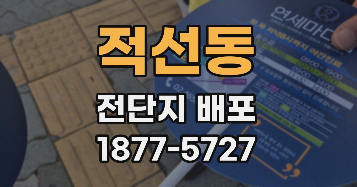 적선동 전단지 배포
