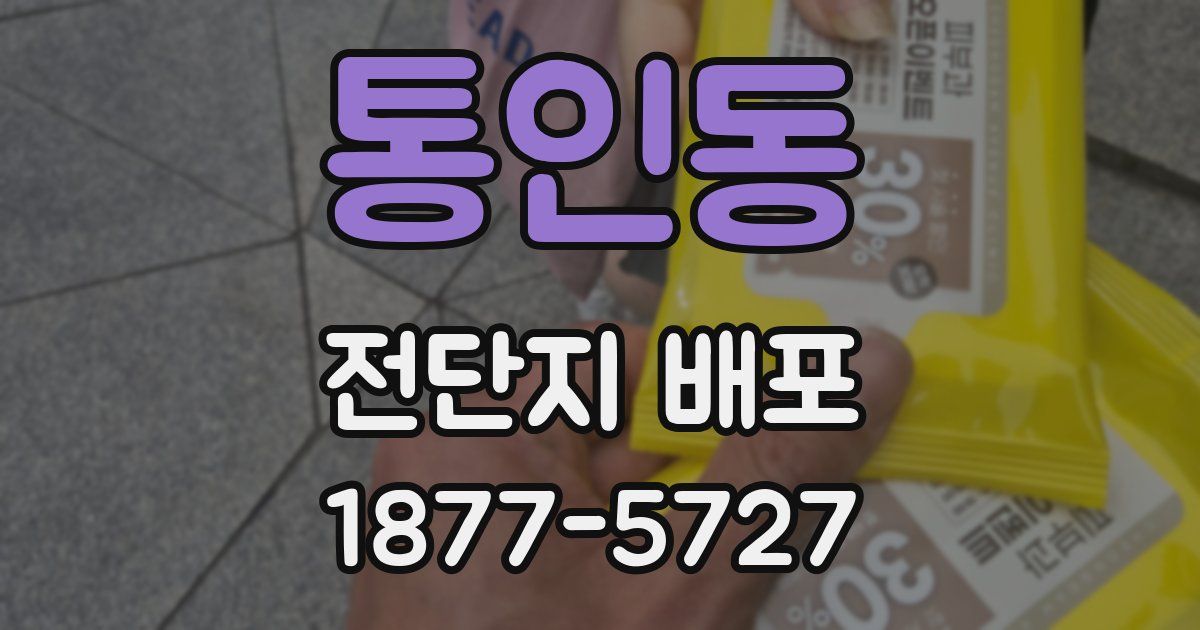 통인동 전단지 배포