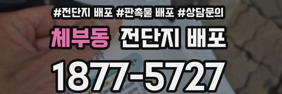 체부동 전단지 배포