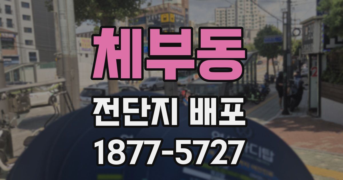 체부동 전단지 배포