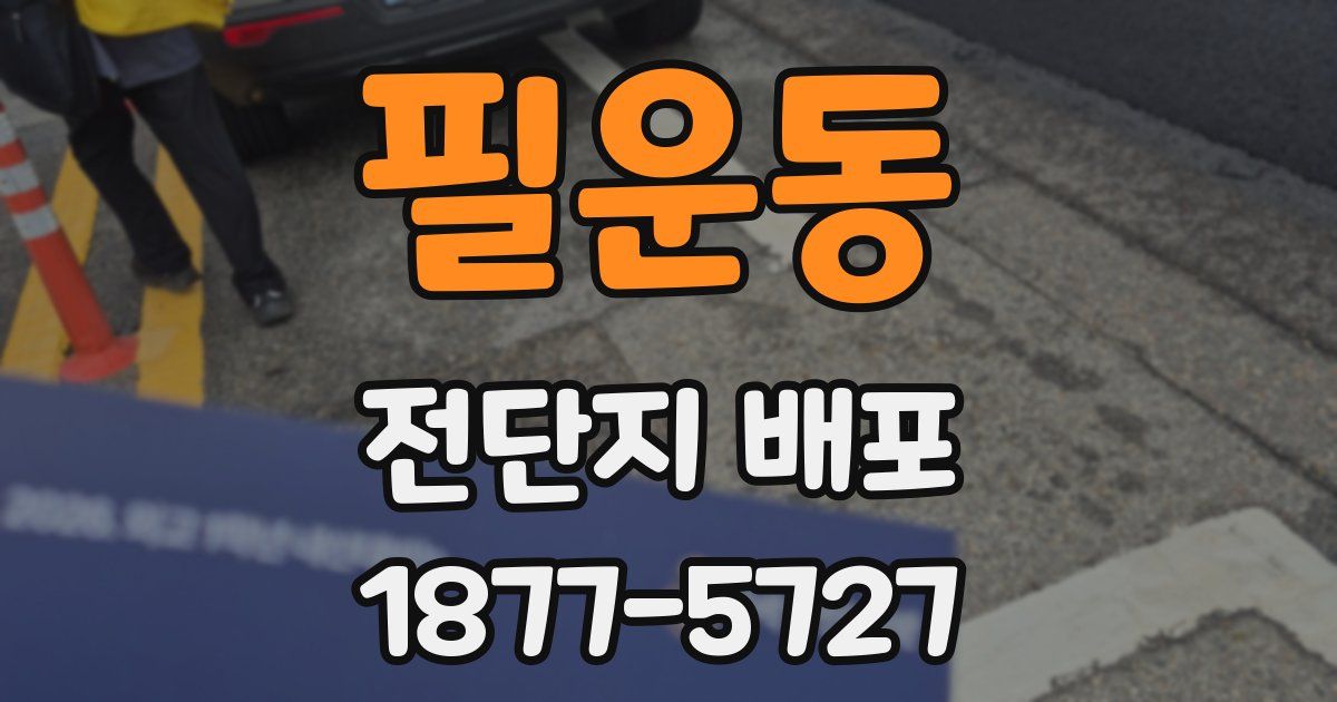 필운동 전단지 배포
