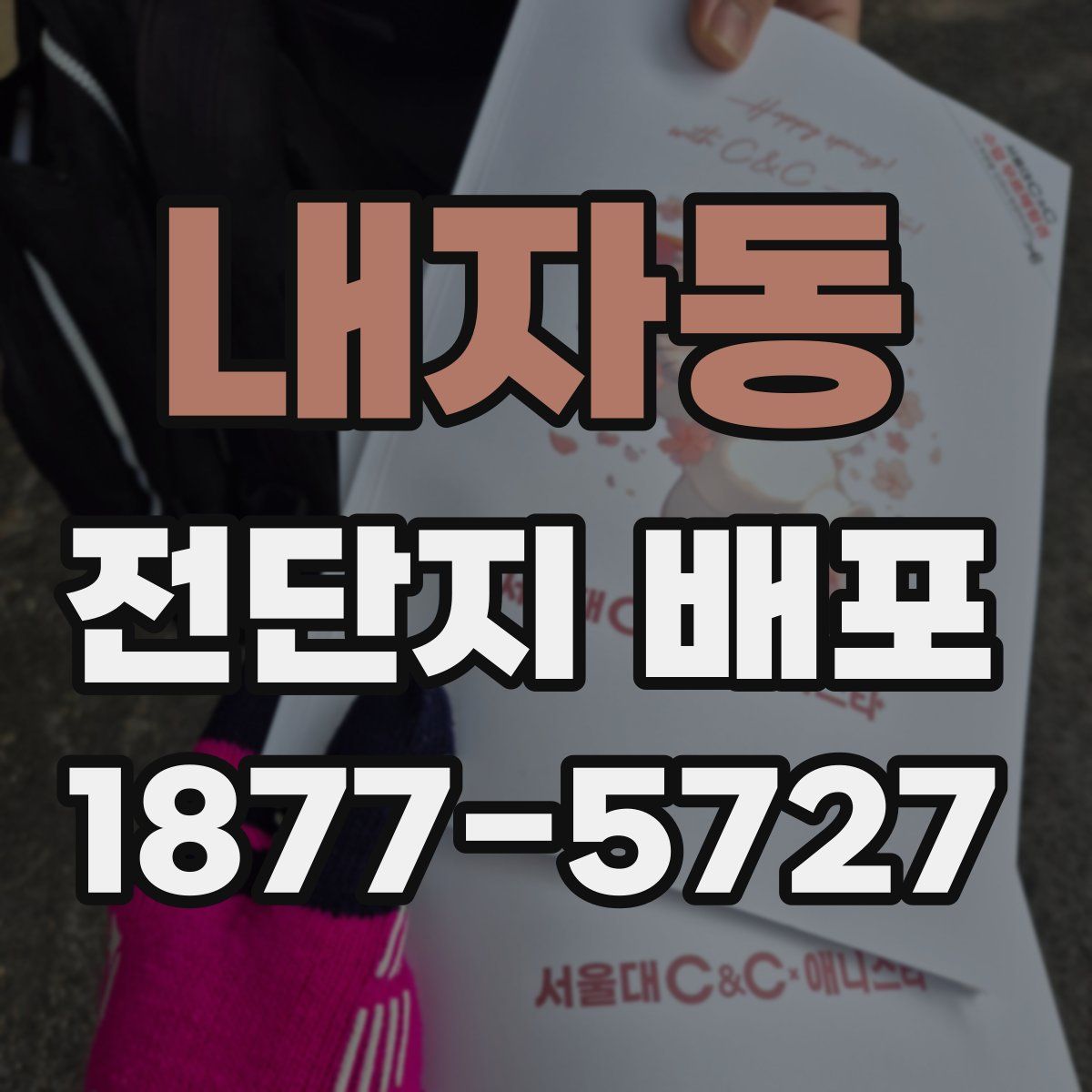 내자동 전단지 배포