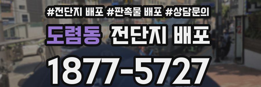 도렴동 전단지 배포