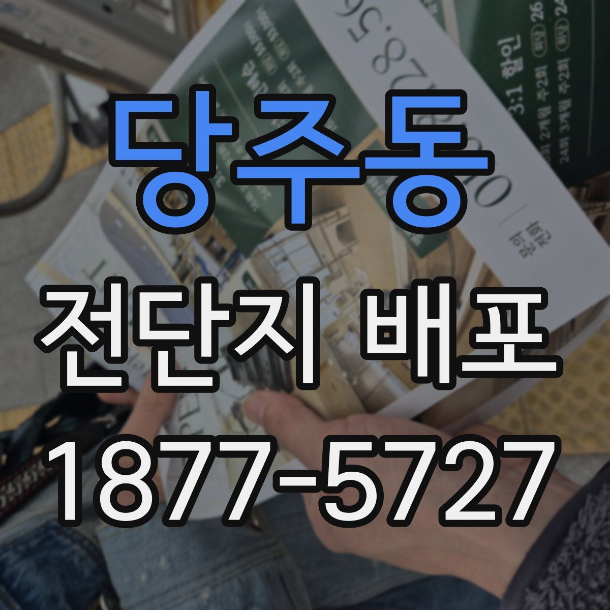 당주동 전단지 배포