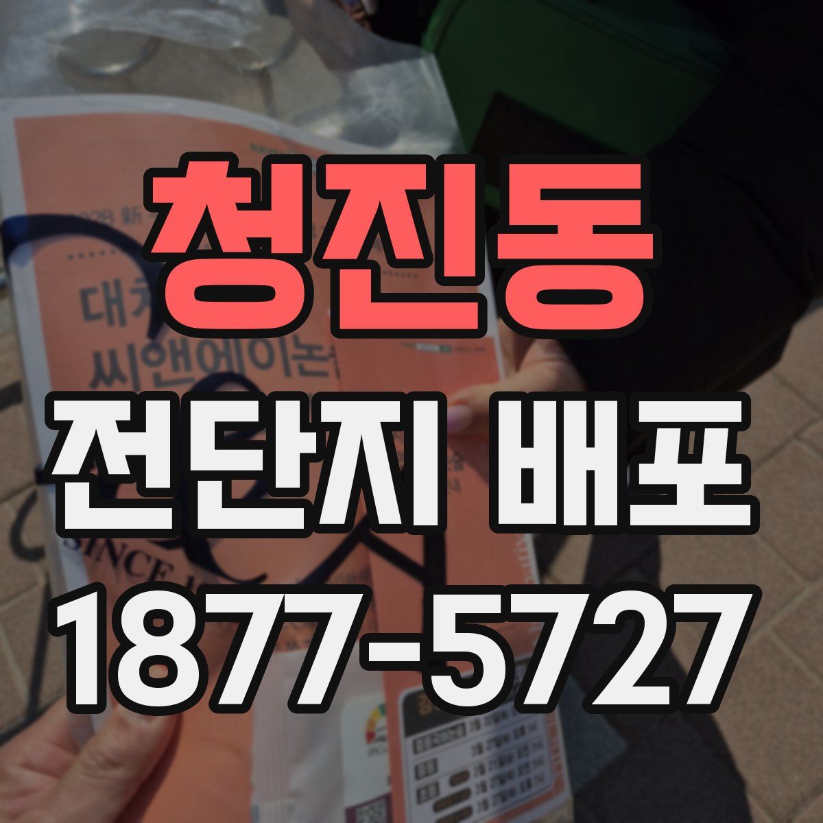 청진동 전단지 배포