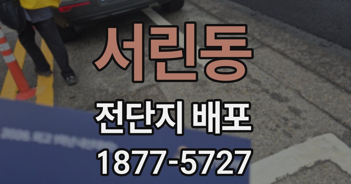 서린동 전단지 배포