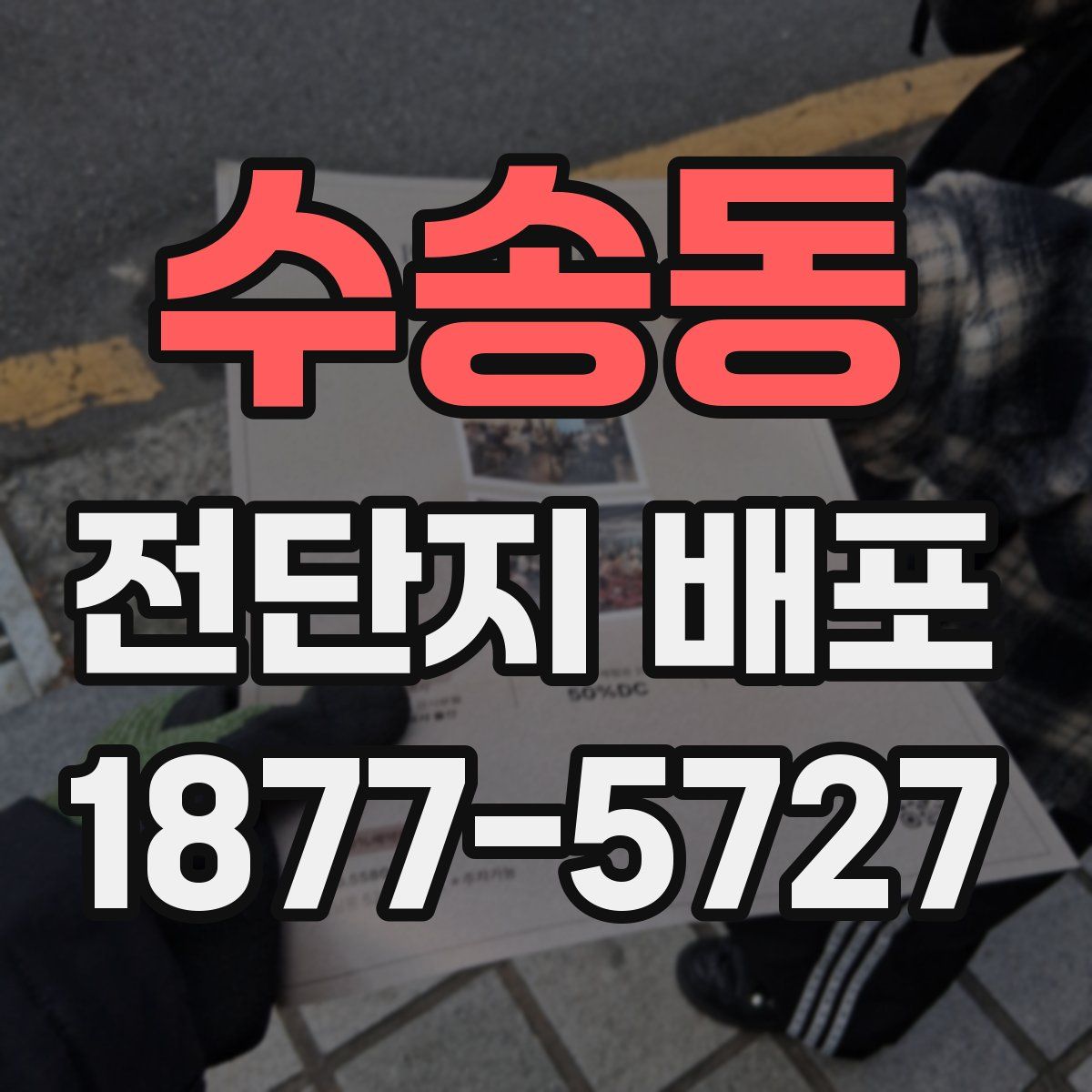 수송동 전단지 배포