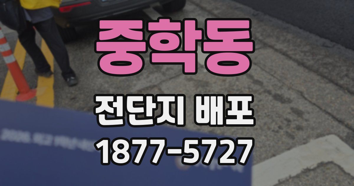 중학동 전단지 배포
