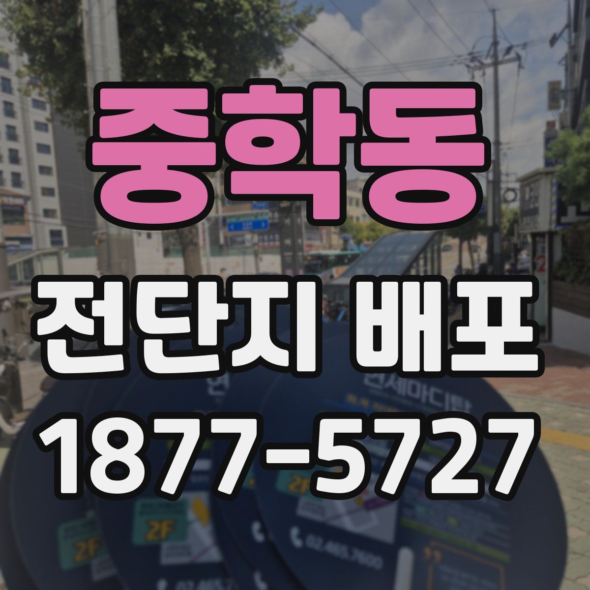 중학동 전단지 배포