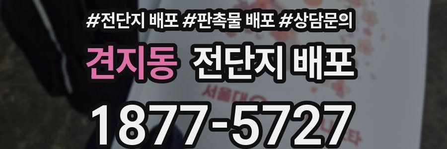견지동 전단지 배포