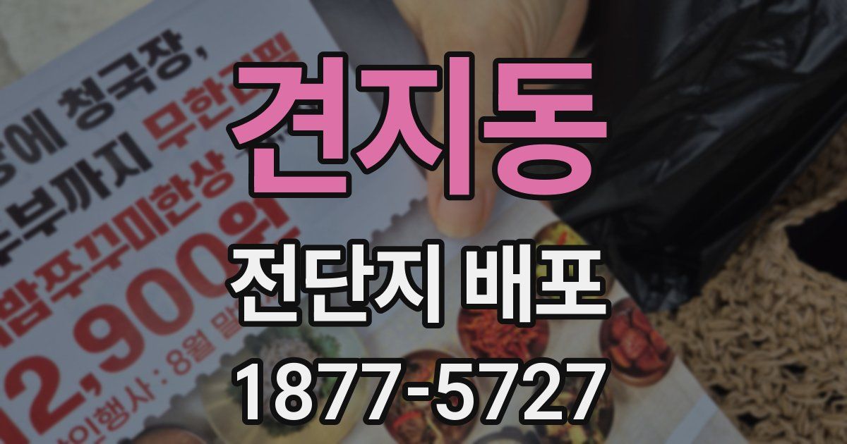 견지동 전단지 배포