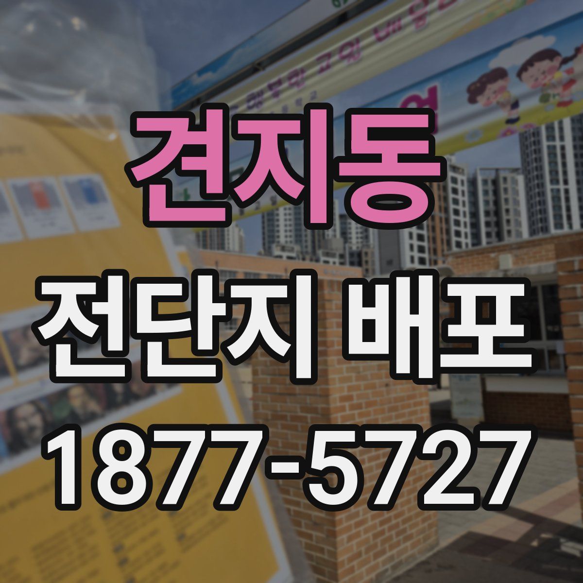 견지동 전단지 배포