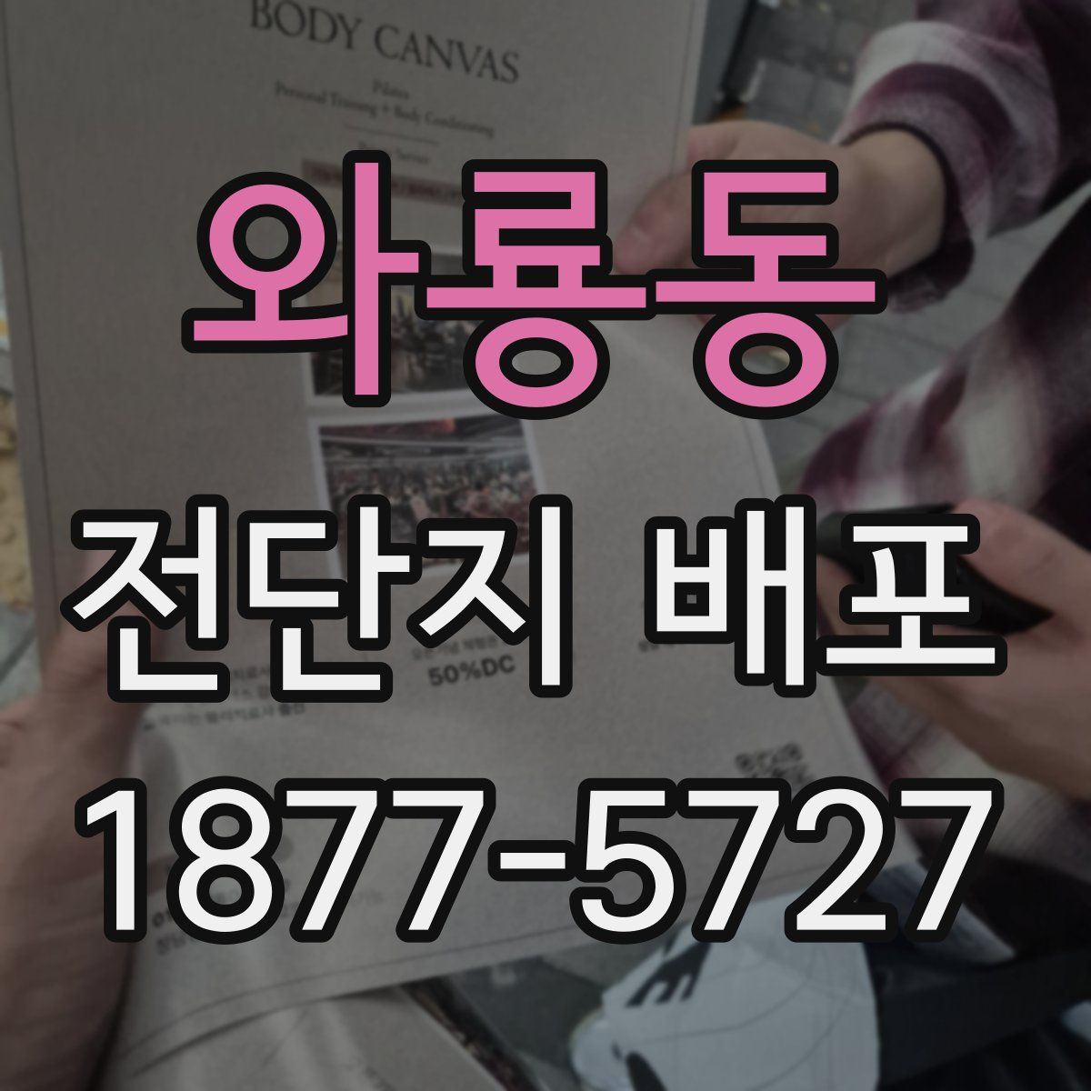 와룡동 전단지 배포