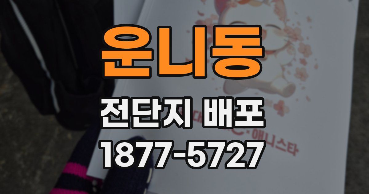 운니동 전단지 배포