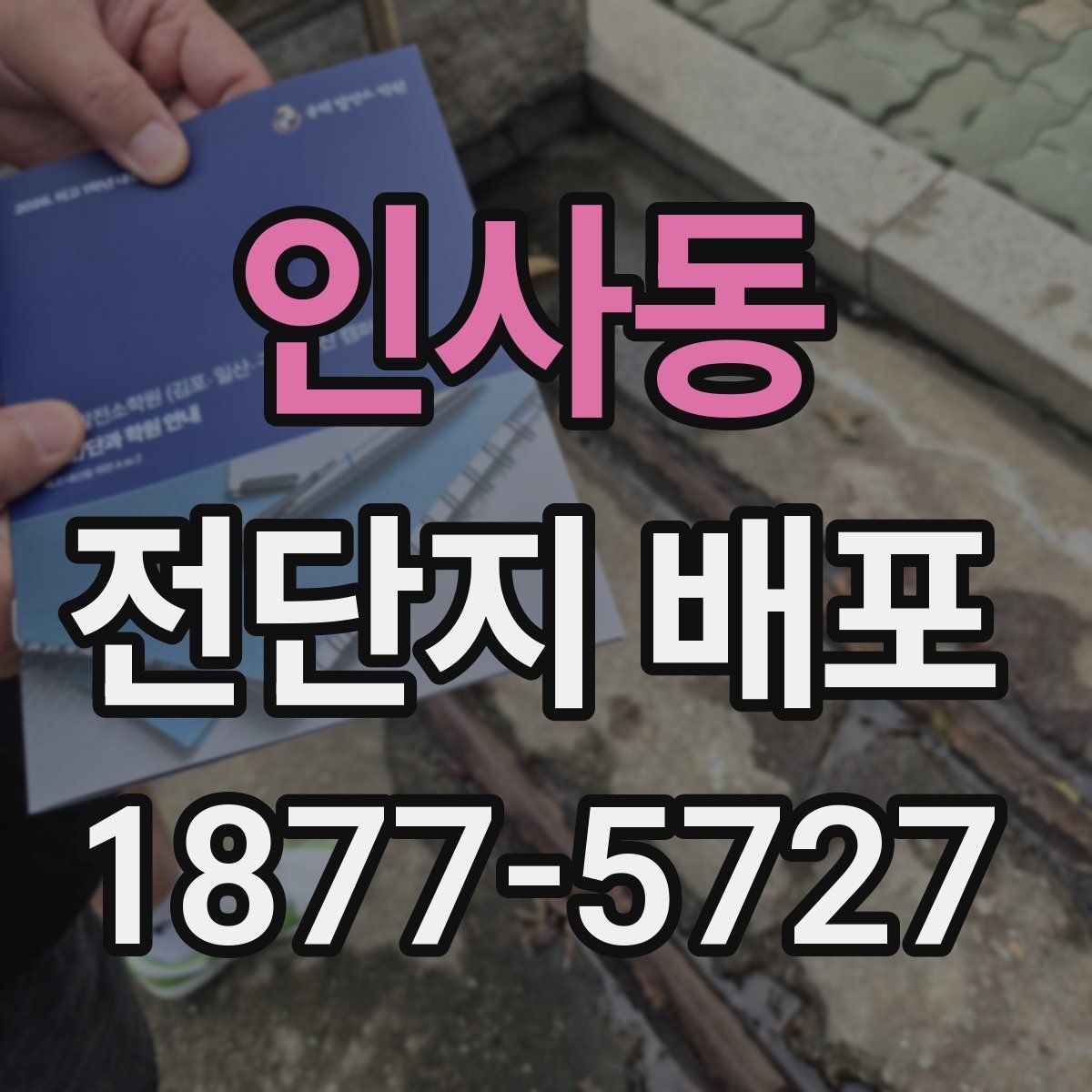 인사동 전단지 배포