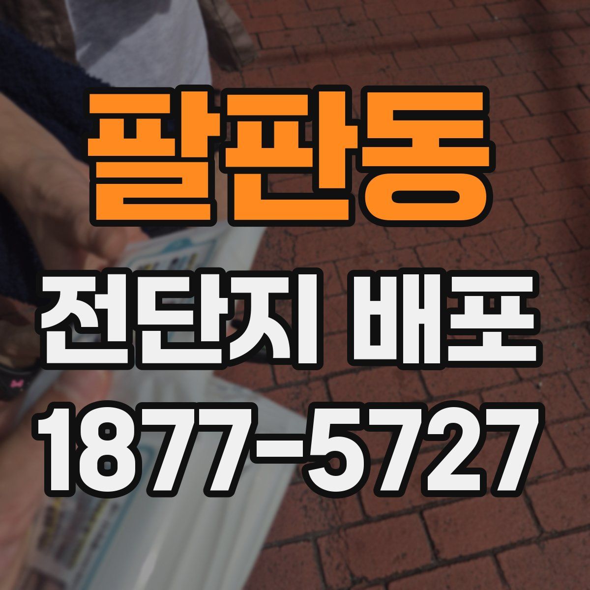 팔판동 전단지 배포