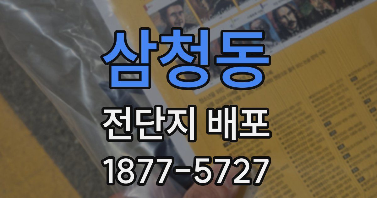 삼청동 전단지 배포