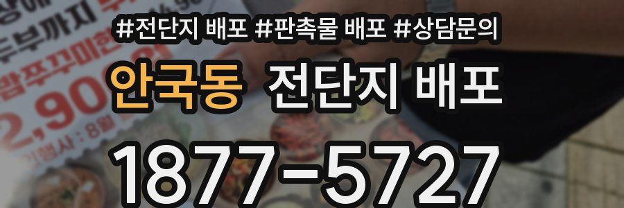 안국동 전단지 배포