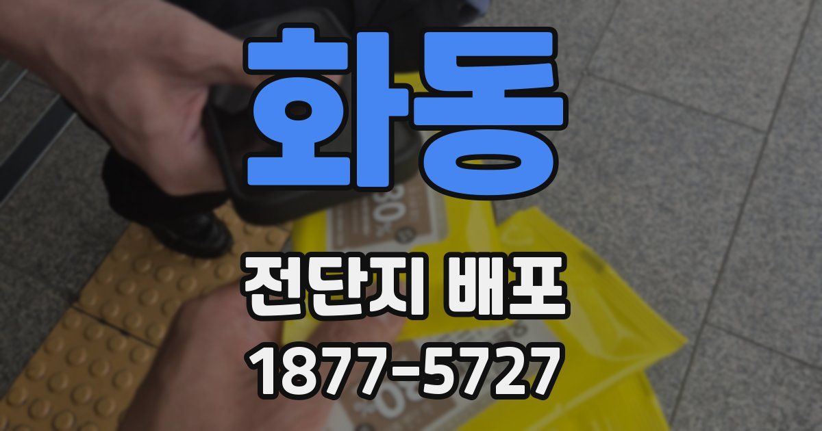화동 전단지 배포