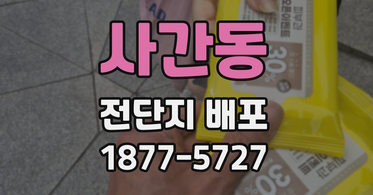 사간동 전단지 배포