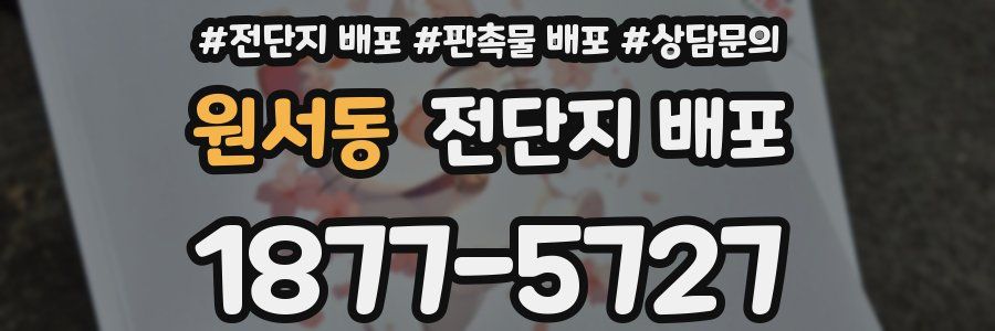 원서동 전단지 배포