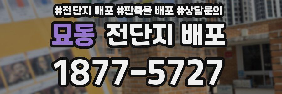 묘동 전단지 배포