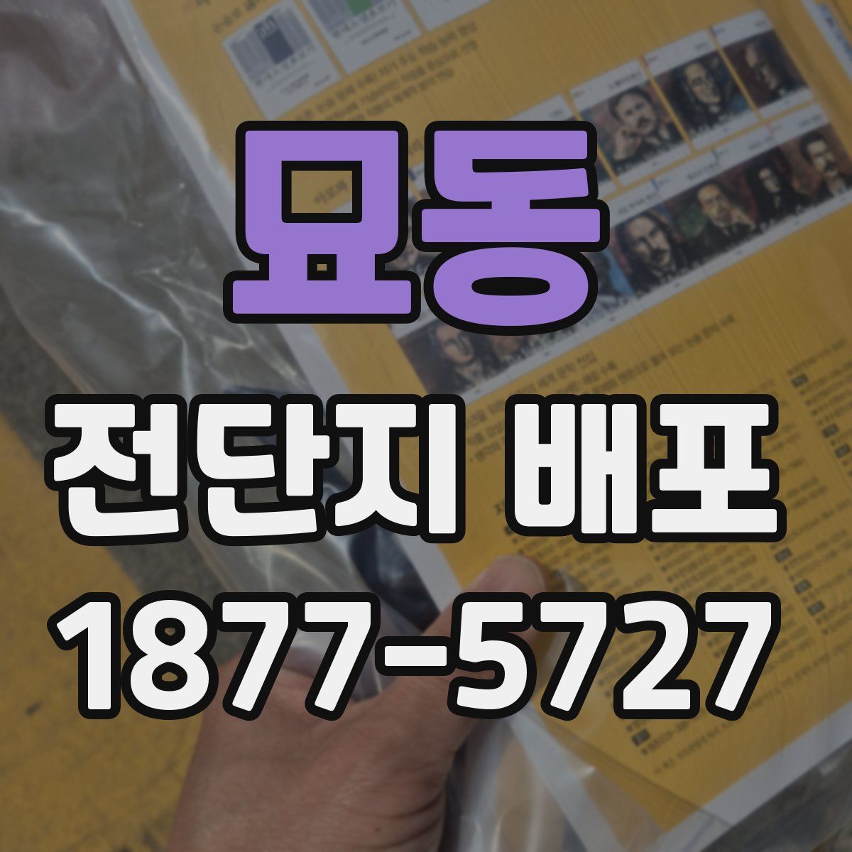 묘동 전단지 배포